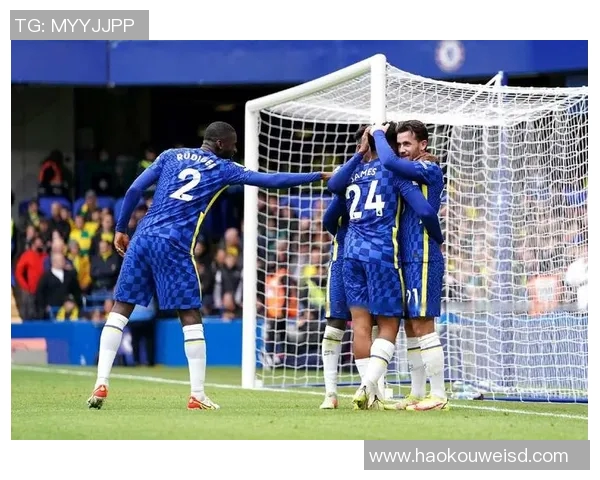 切尔西与诺维奇精彩对决直播全程回顾与赛后分析 切尔西与诺维奇精彩对决直播全程回顾与赛后分析