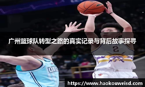 球速体育平台入口