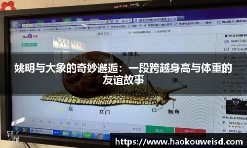 welcome球速体育