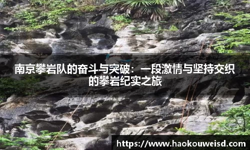 球速体育