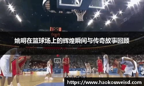 球速体育平台入口
