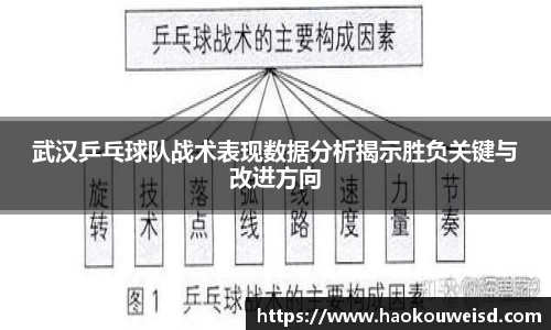 球速体育