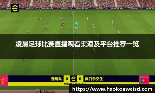 球速体育平台入口