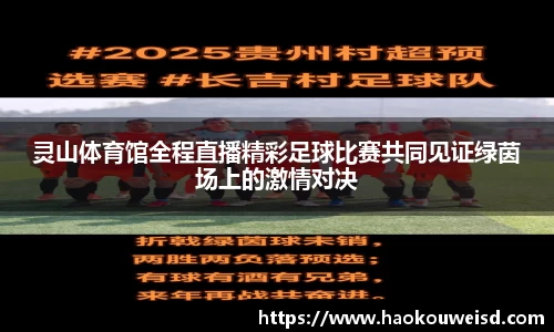 球速体育
